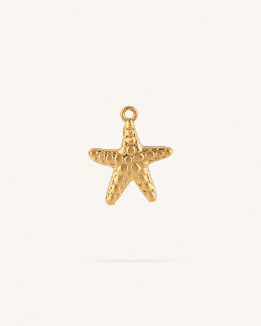 Charm Ανάγλυφος Αστερίας